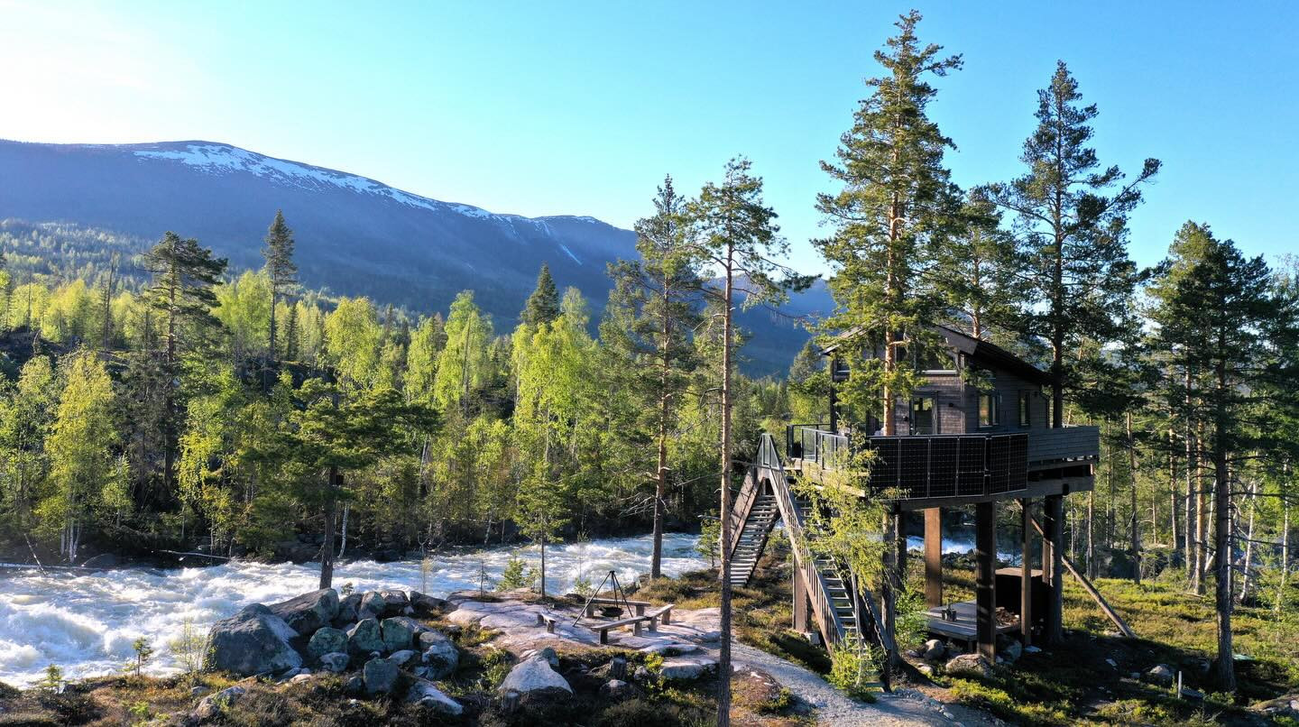 Fosstopp tretopphytter nær Vassfaret i Valdres