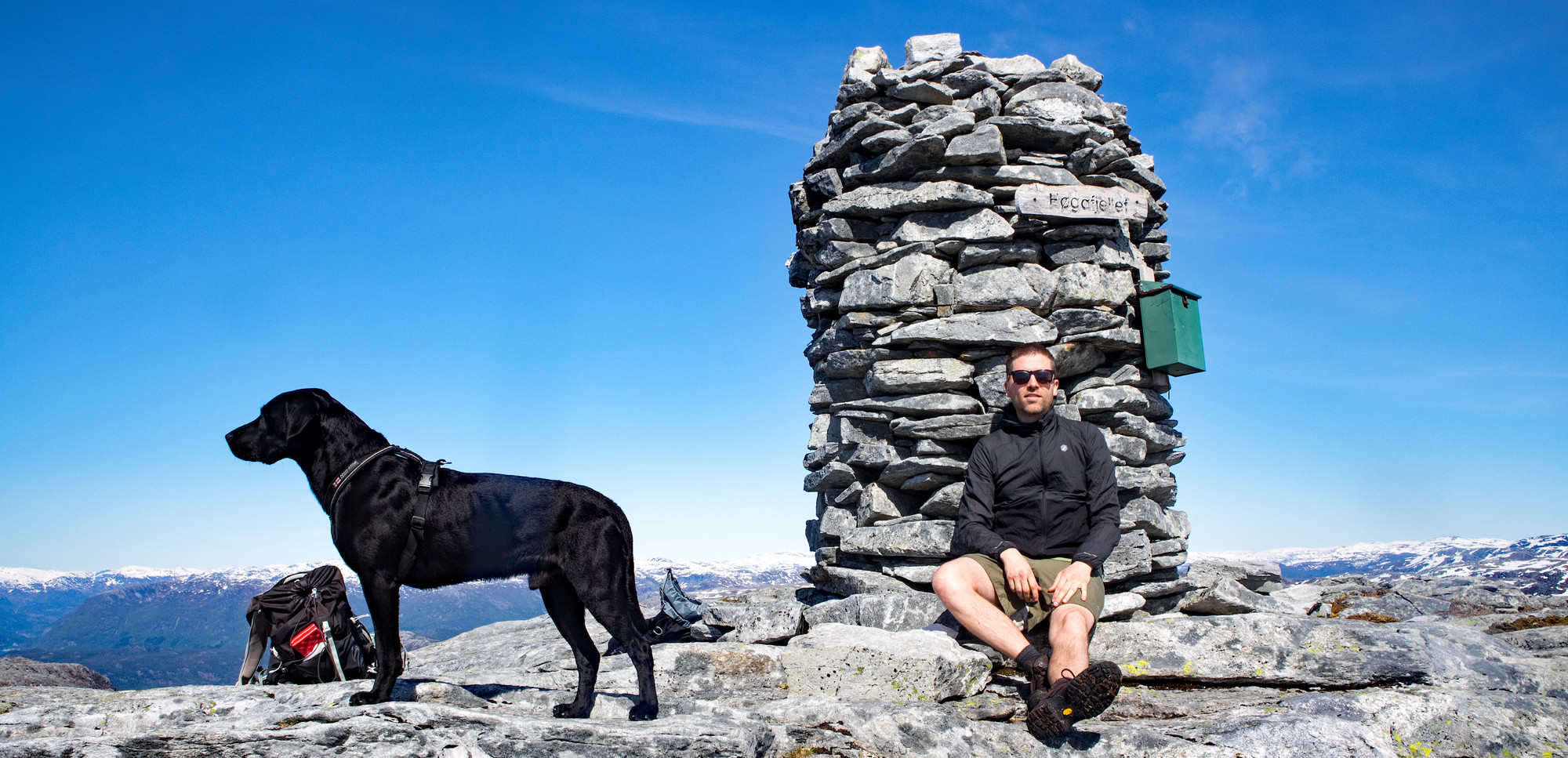 Høgafjellet (868 moh)