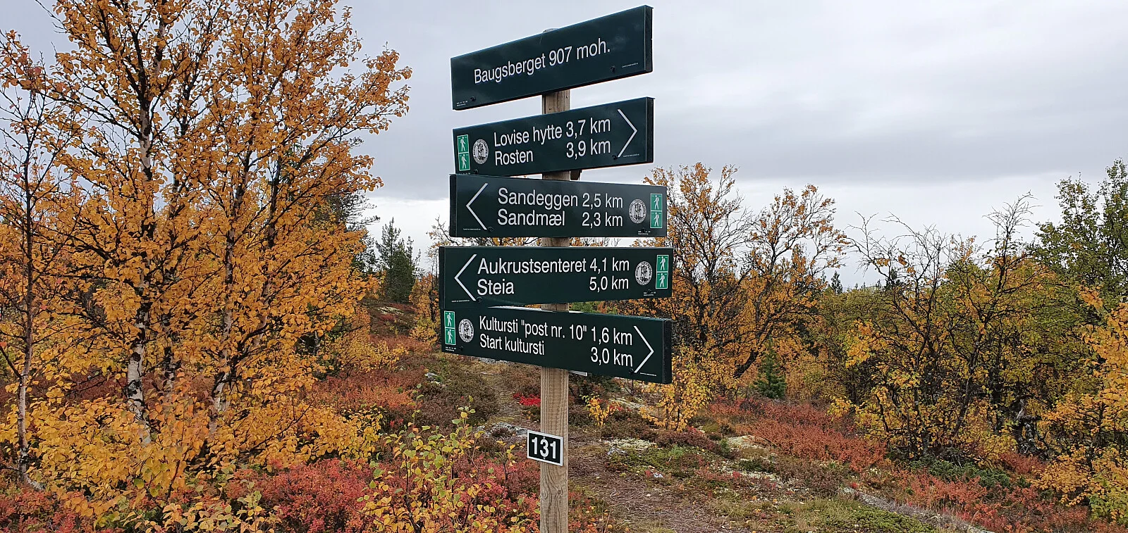 Baugsberget (907 moh)