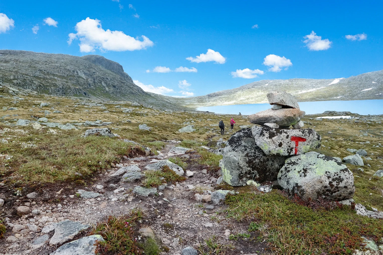 Hardangervidda del 1: Finse til Krækkja (1161 moh)