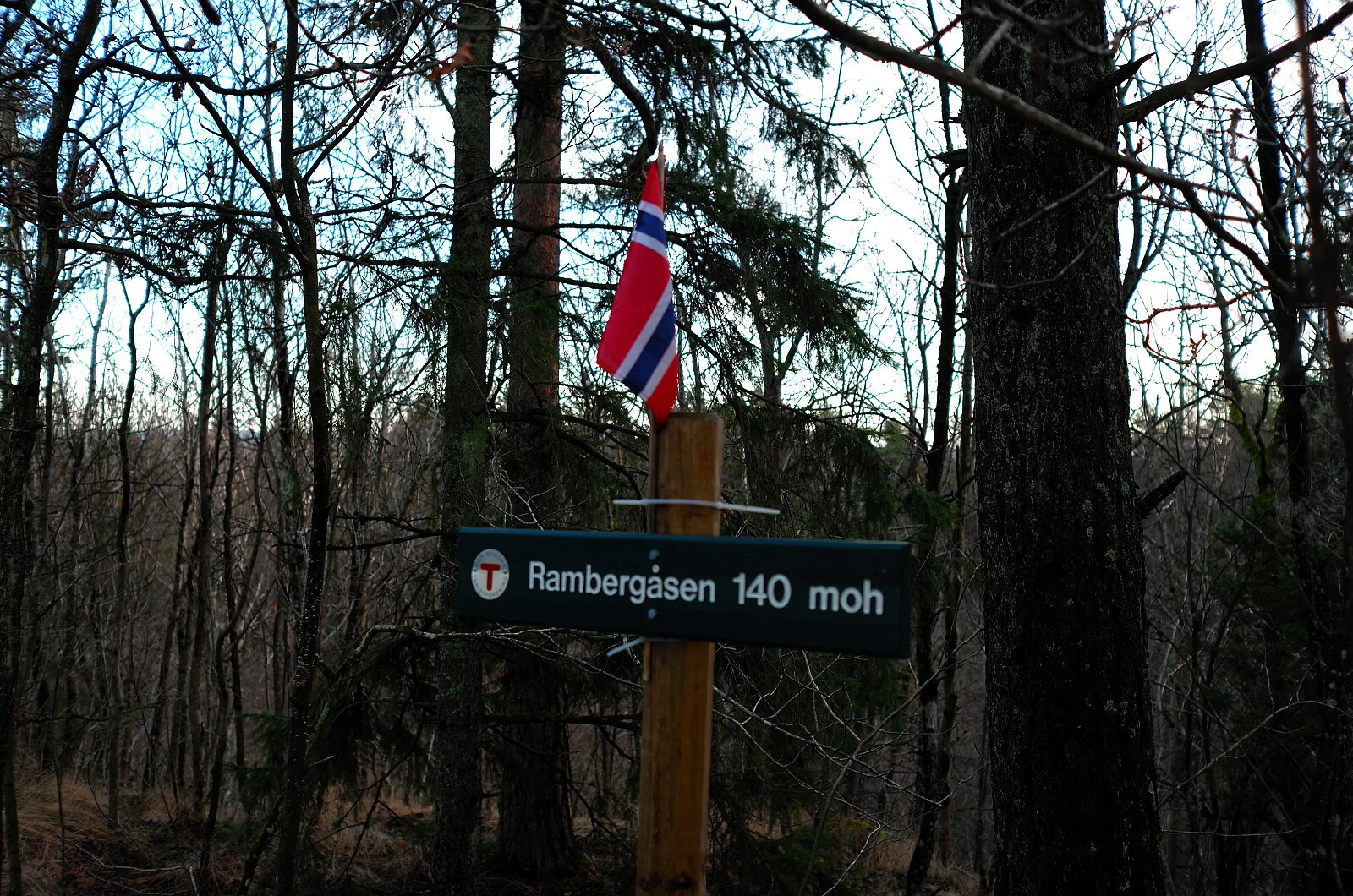 Rambergåsen (140 moh)