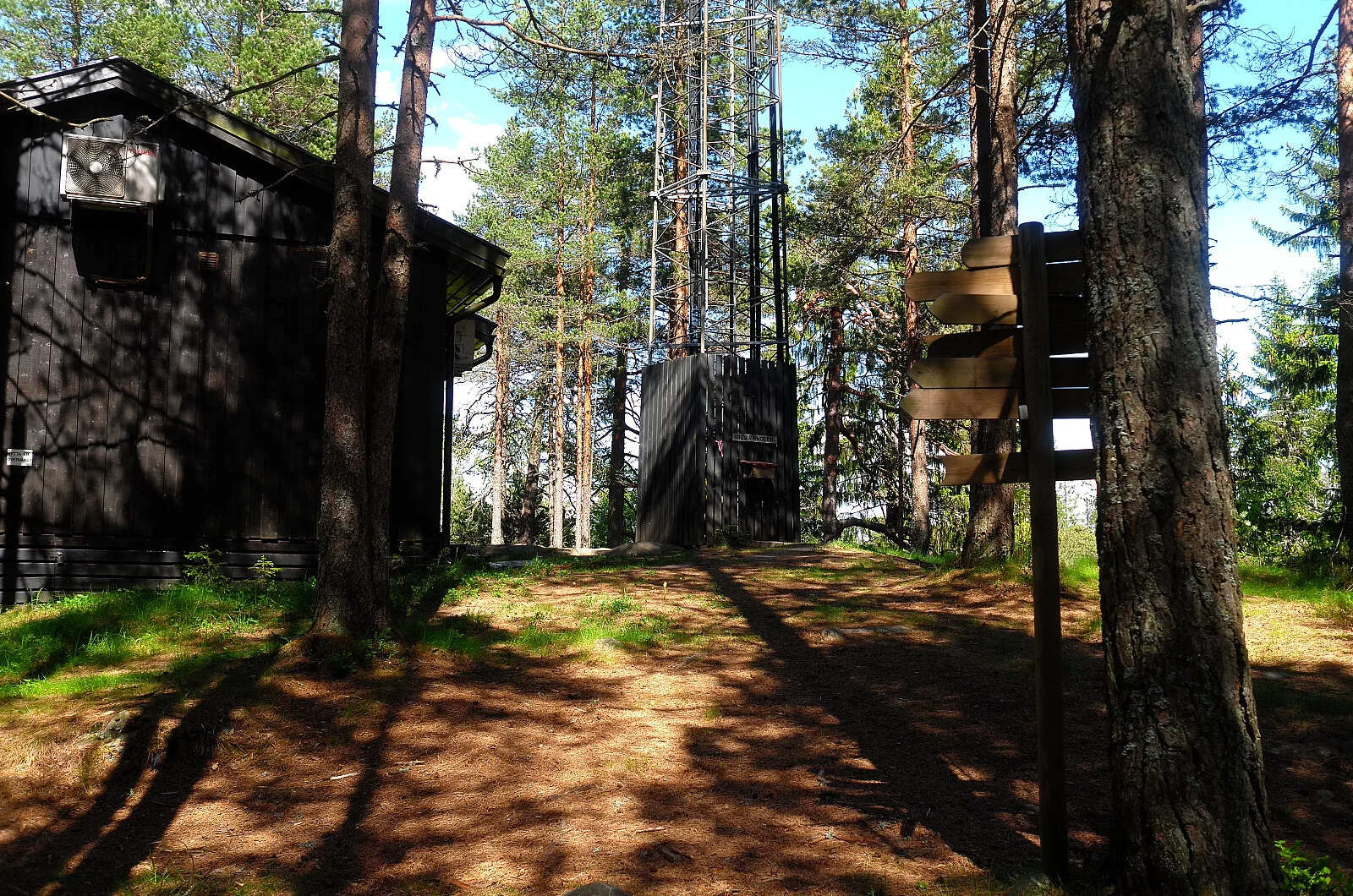 Bjørnholen (347 moh)