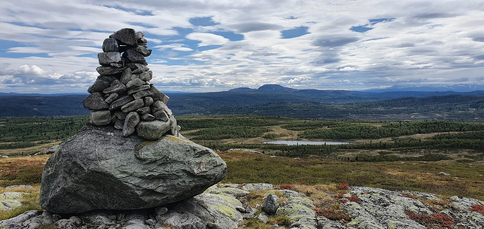 Myrebærhammaren (1134 moh)