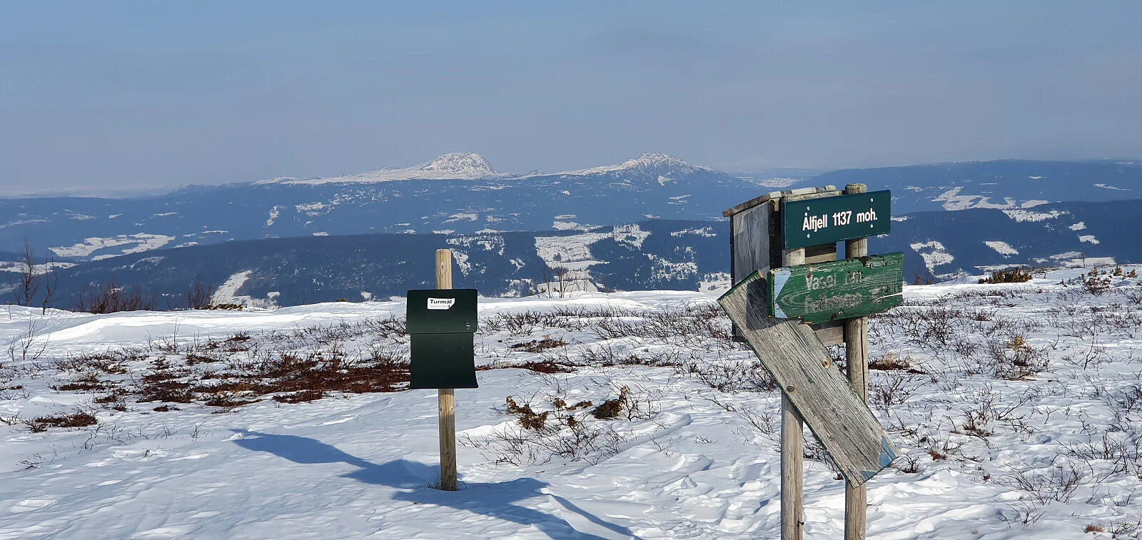 Ålfjell (1137 moh)