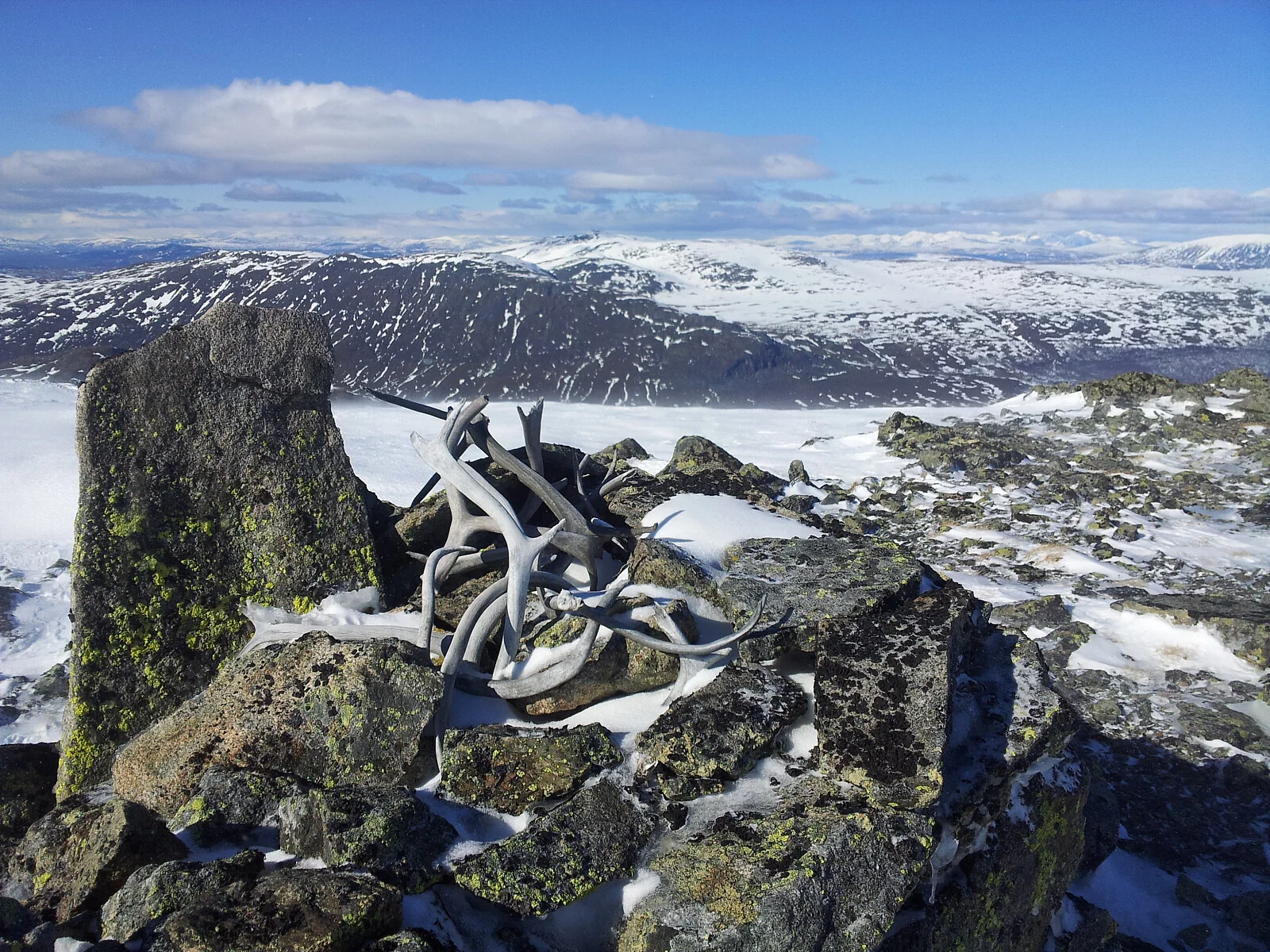 Ingulssjøhøe (1667 moh)