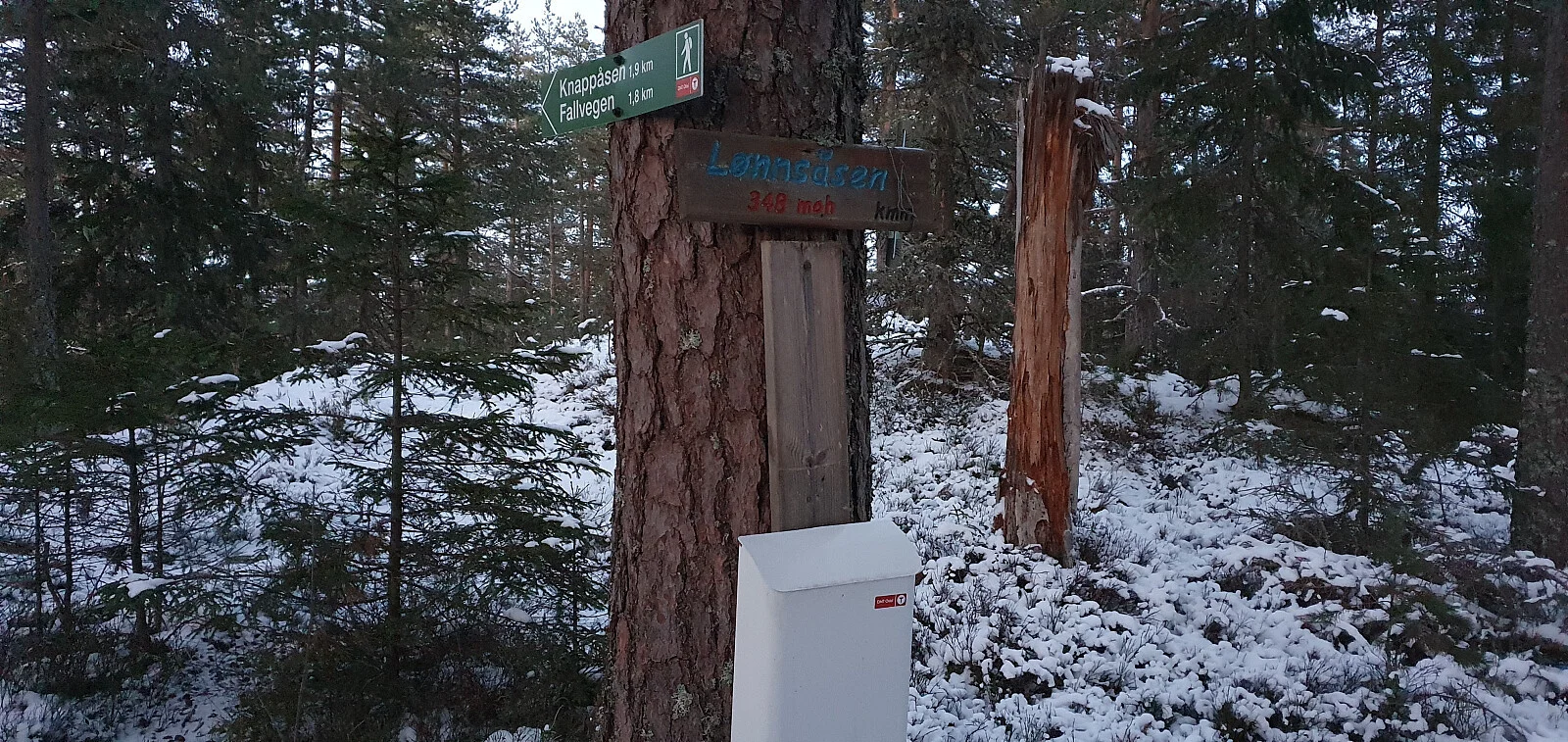 Lønnsåsen (352 moh)