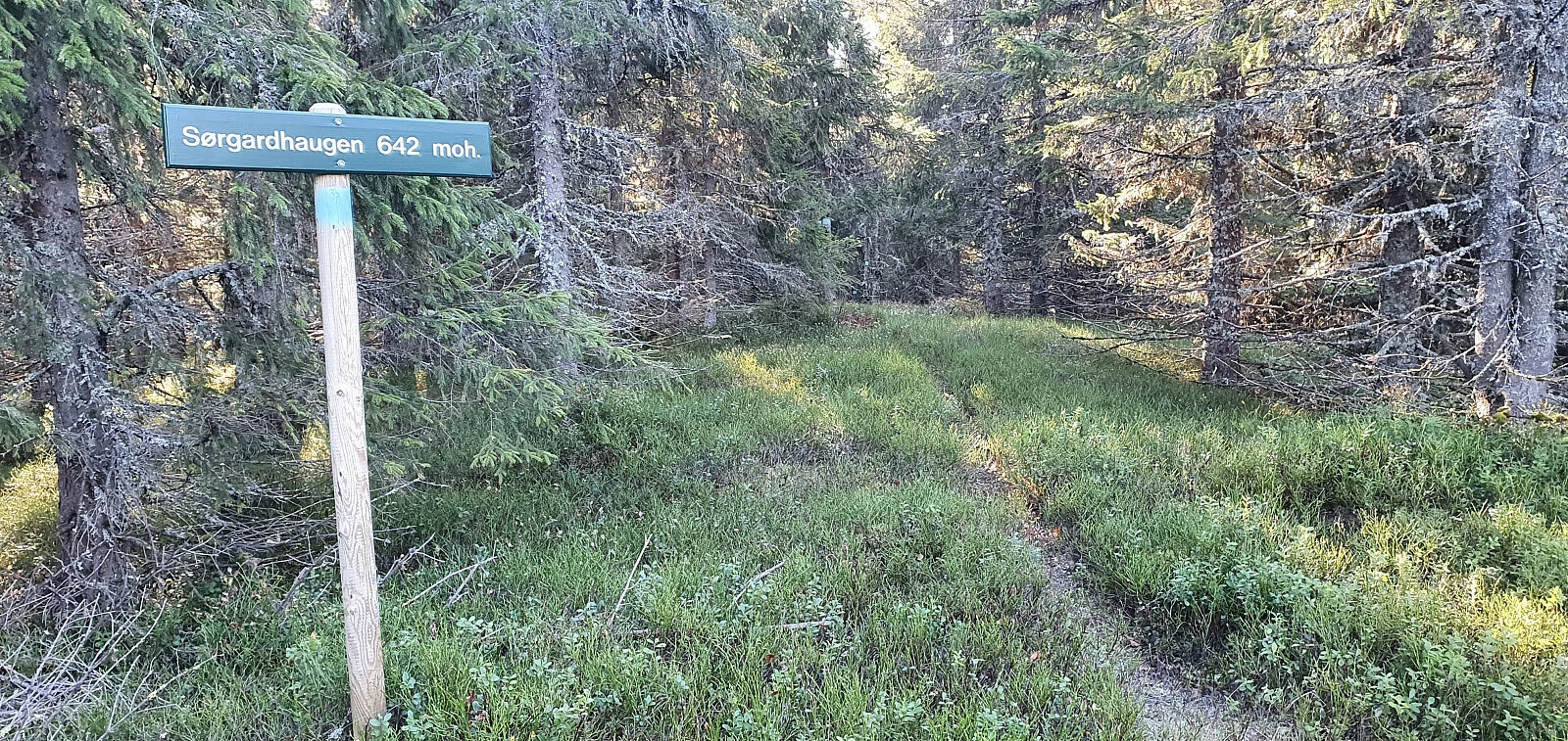 Sørgardhaugen (641 moh)