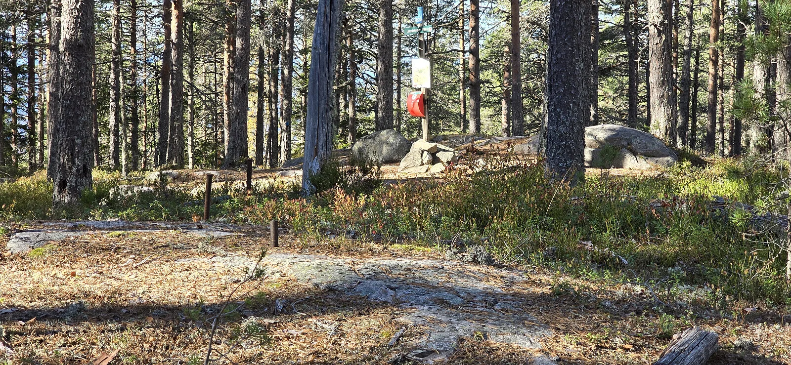 Lauvåsknollen (538 moh)