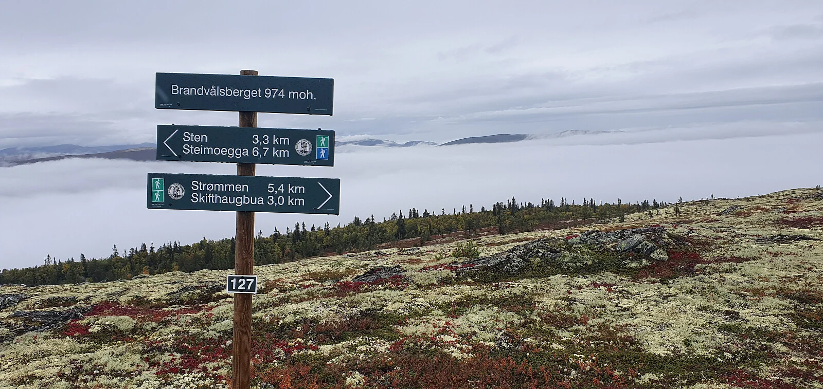 Brandvålsberget (974 moh)