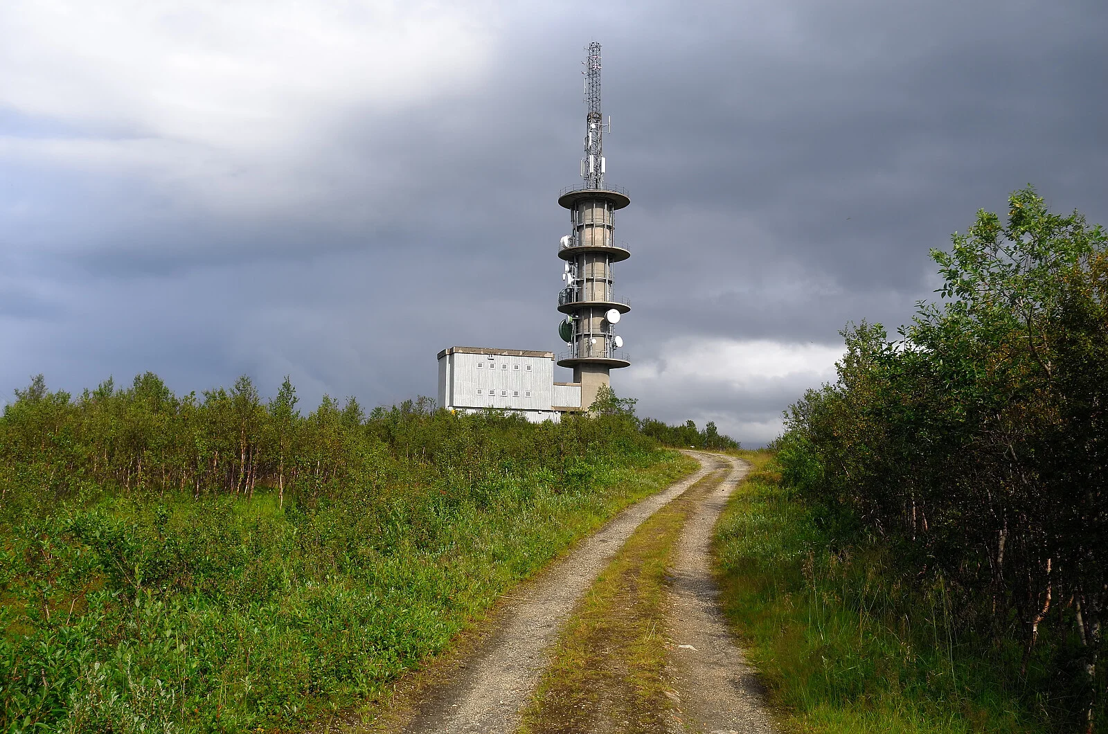 Tønsnesvarden (281 moh)