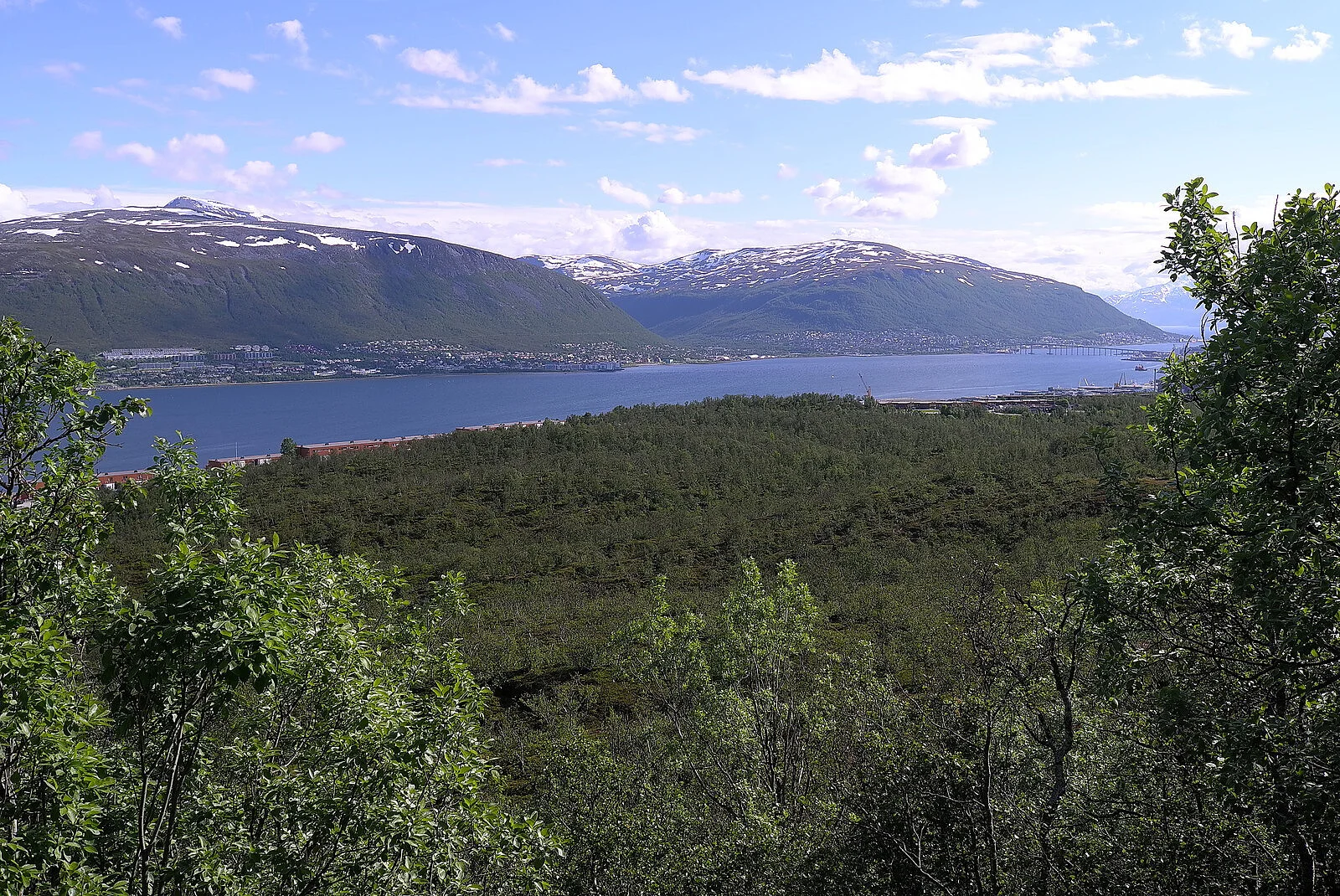 Varden på Tromsøya (160 moh)