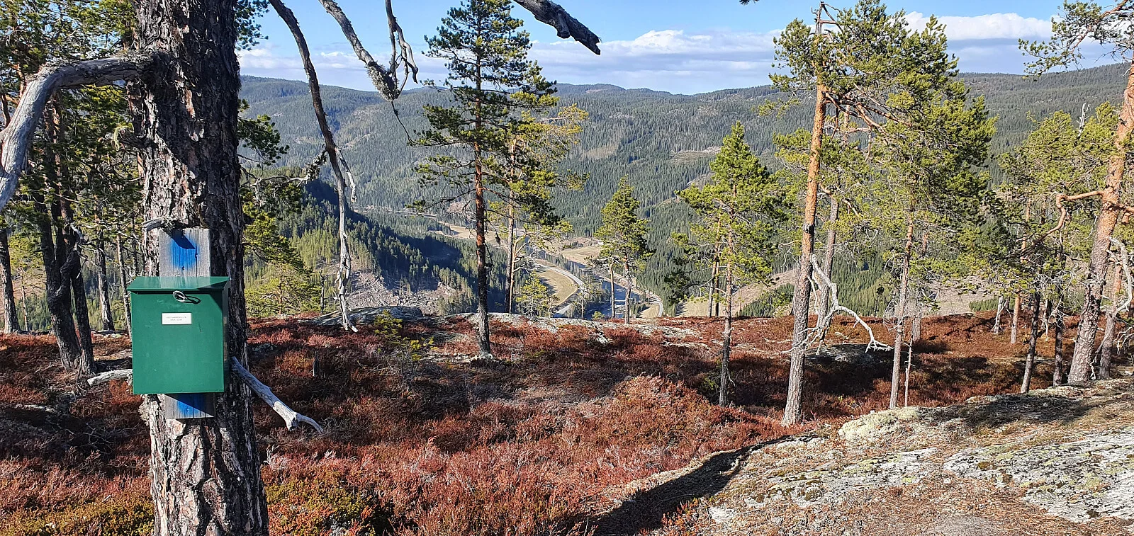 Kristiansmokollen (493 moh)