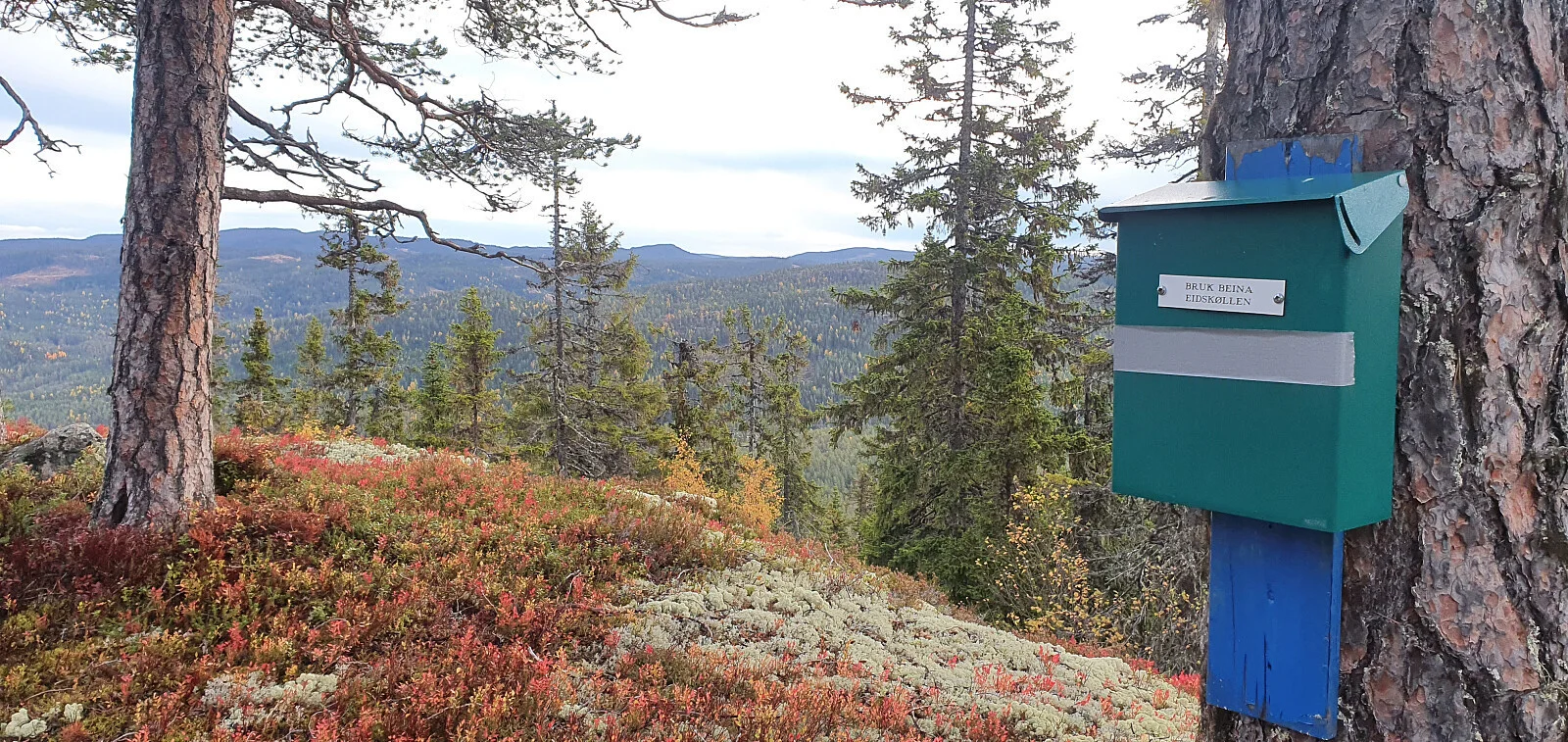 Eidskollen (732 moh)