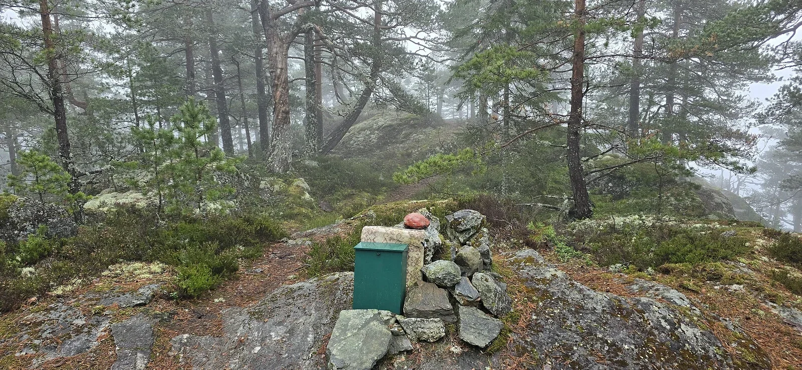 Skulssnippen (391 moh)