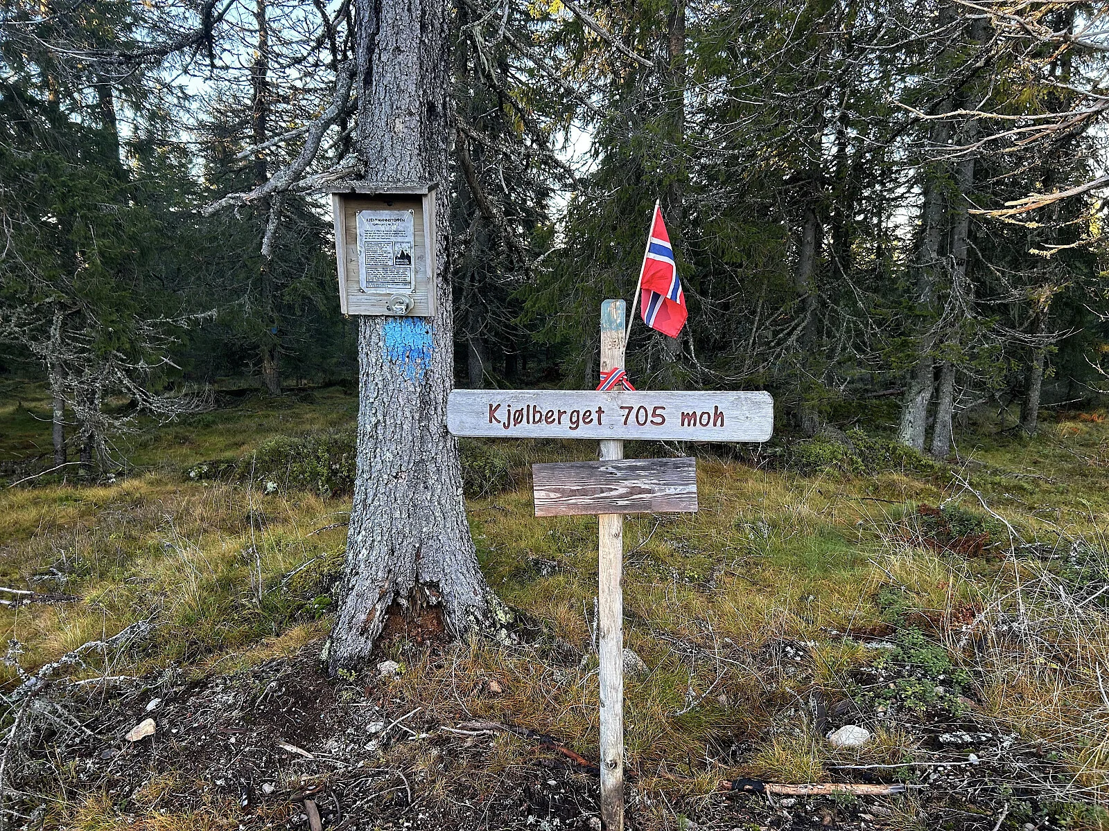 Kjølberget (704 moh)