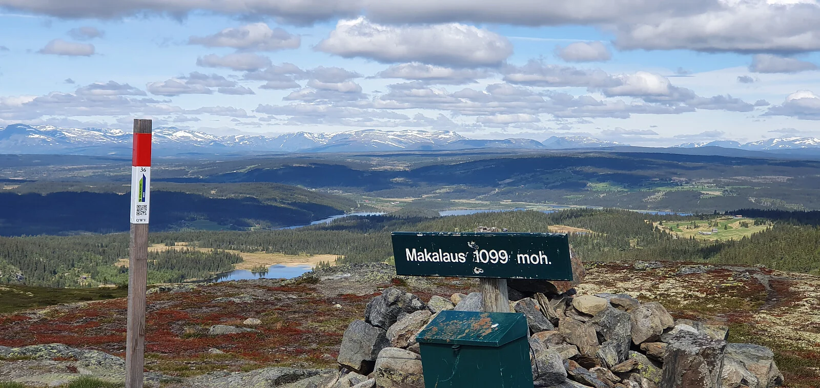 Makalausfjellet (1099 moh)