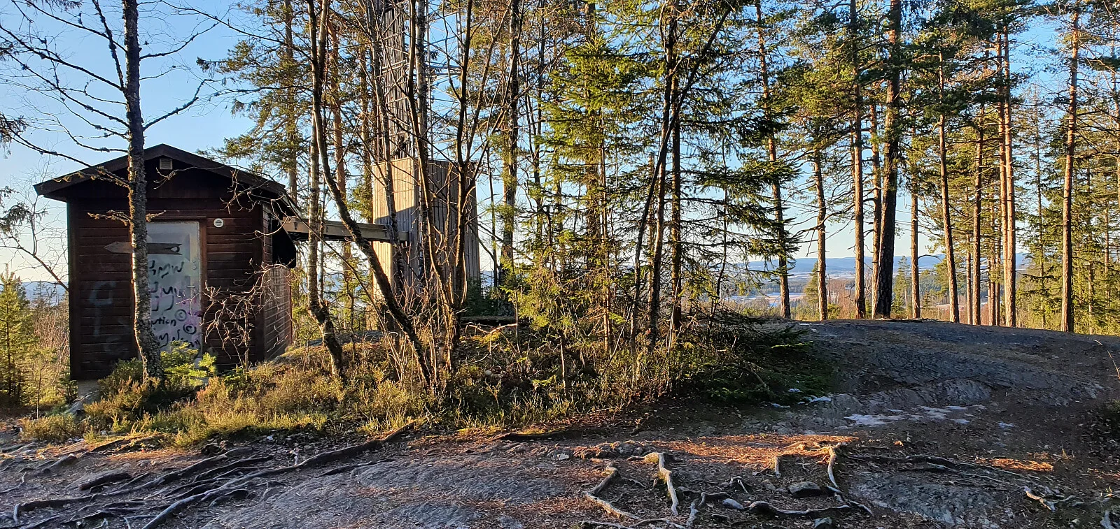 Tandbergfjellet (276 moh)