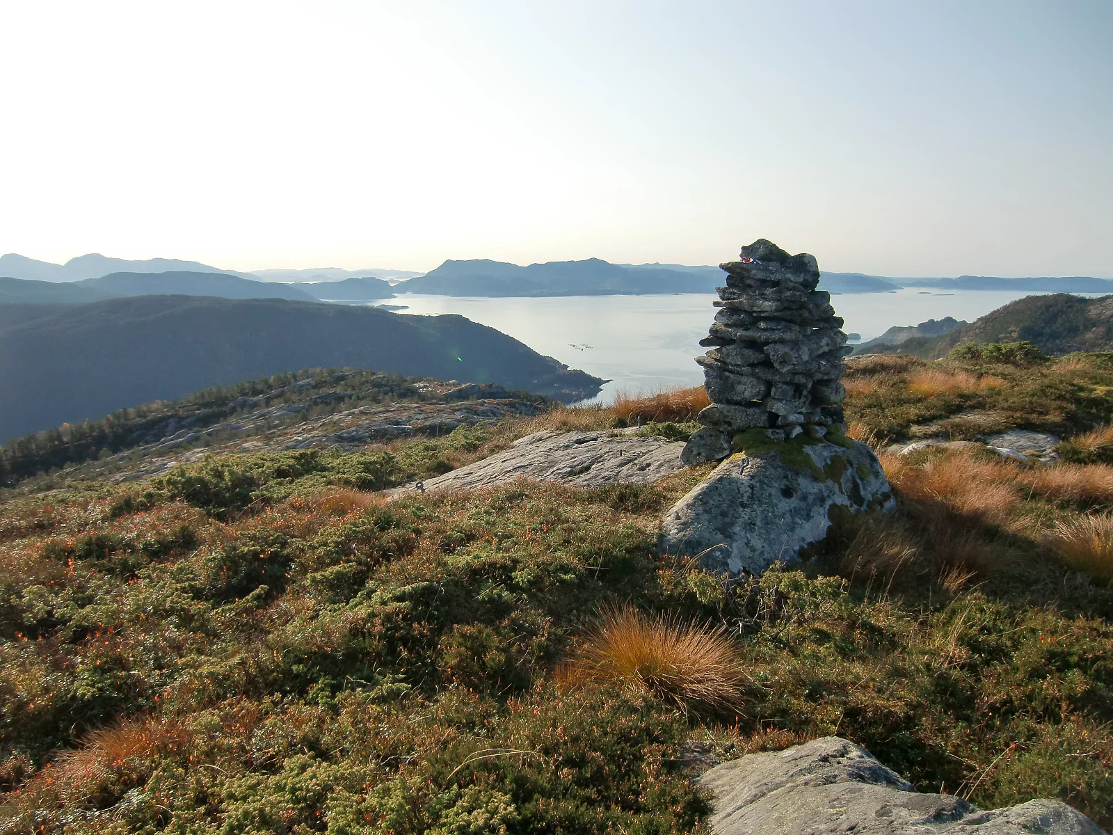 Haugafjellet (541 moh)