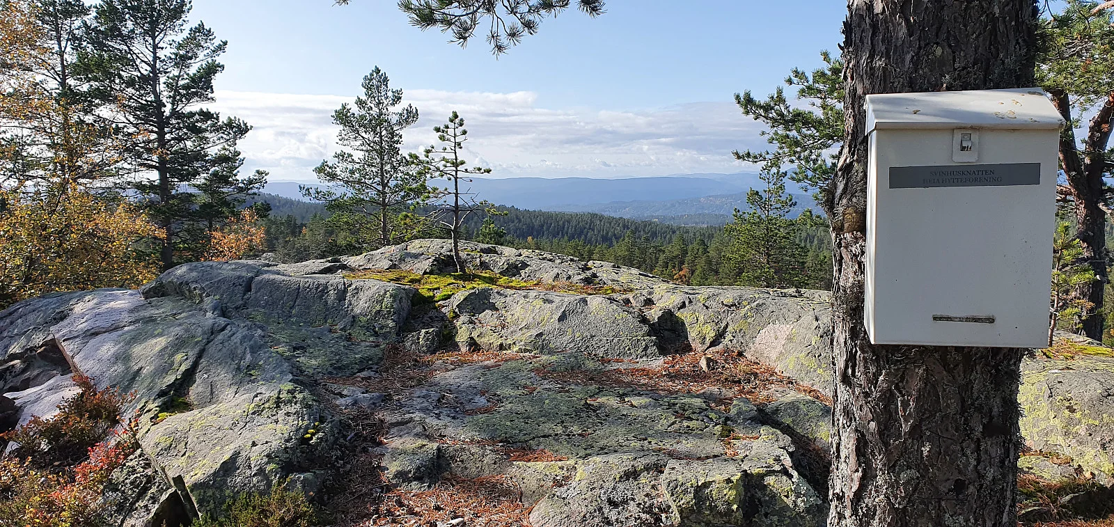 Svinhusknatten (696 moh)