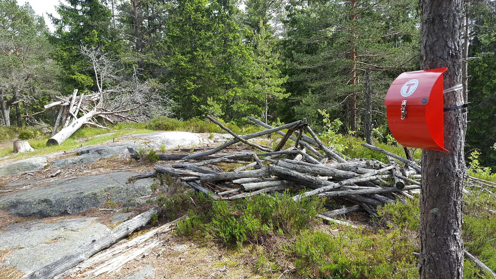 Holterkollen (455 moh)
