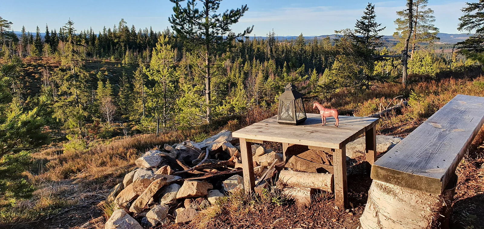 Skonhovdhøgda (579 moh)