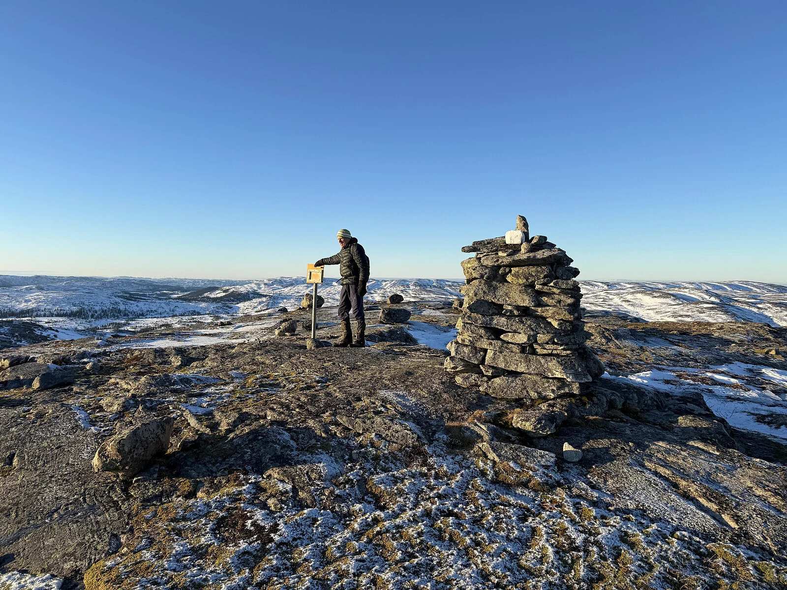 Bjørfarvassheia (498 moh)