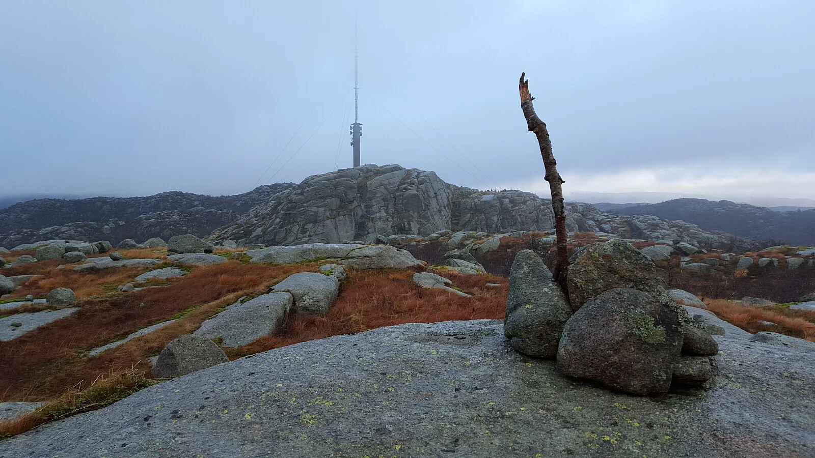 Lyfjellet (486 moh)