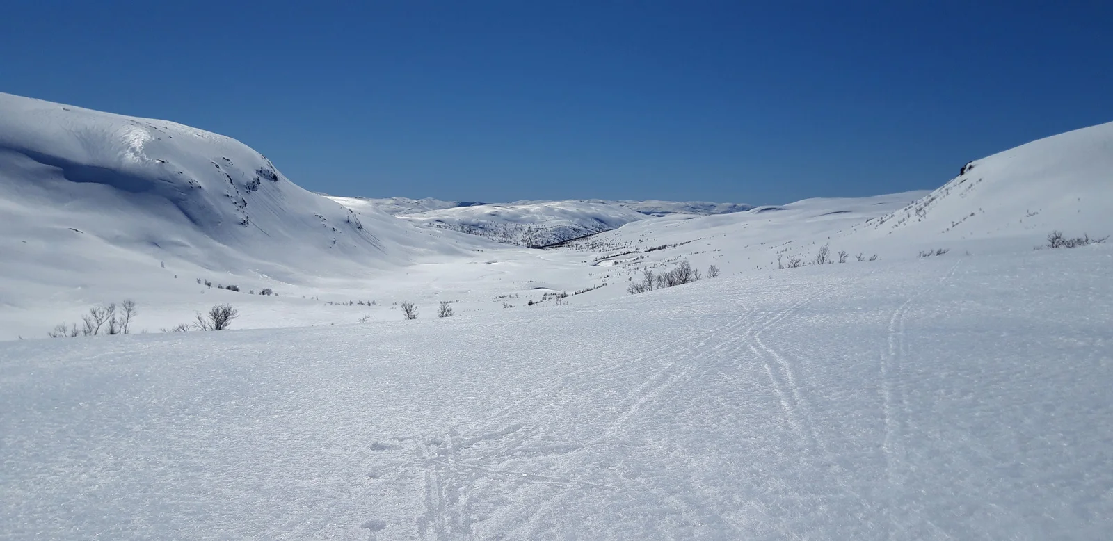 Skiturfra Brandset over Strandaleitet (970 moh) sørover mot Reimegrend i Raundalen