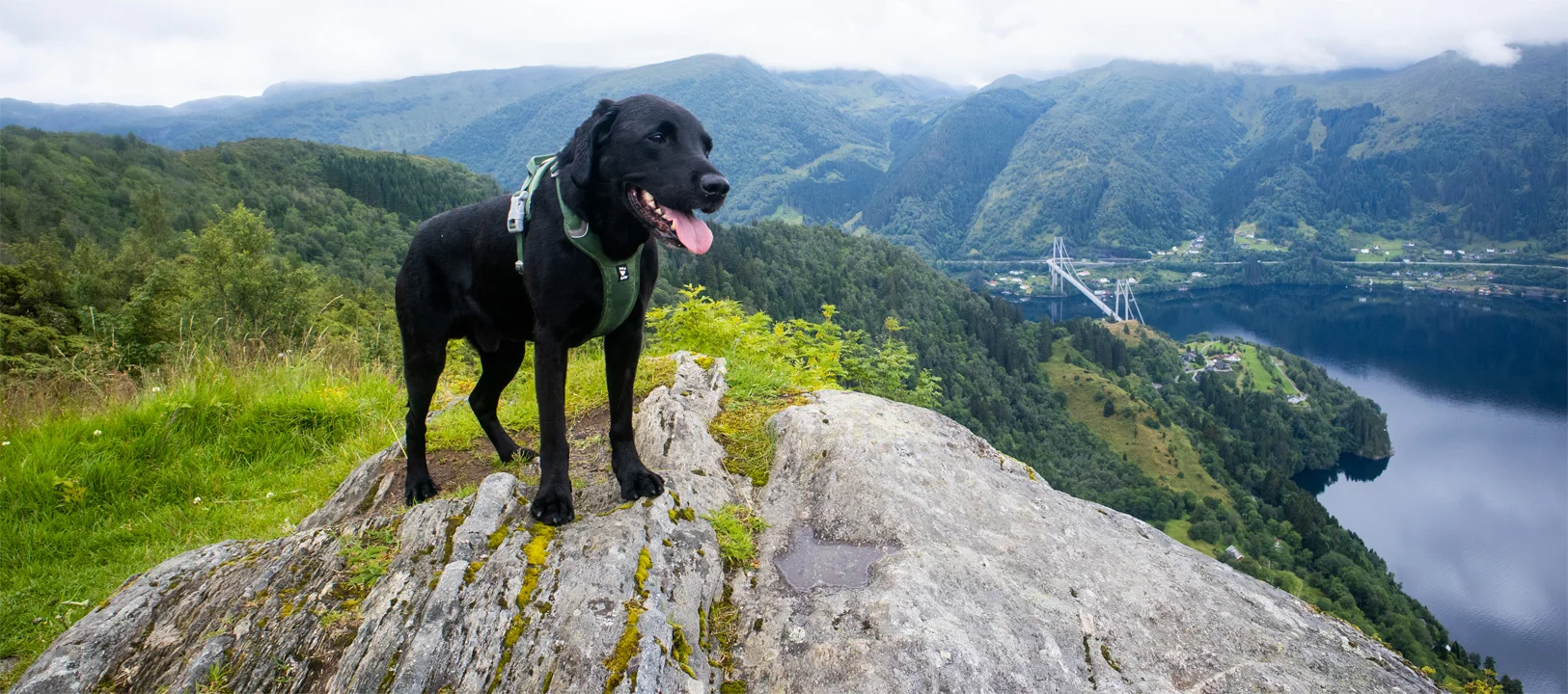 Fjelltur Orrkleivhaugen (360 moh) på Osterøy