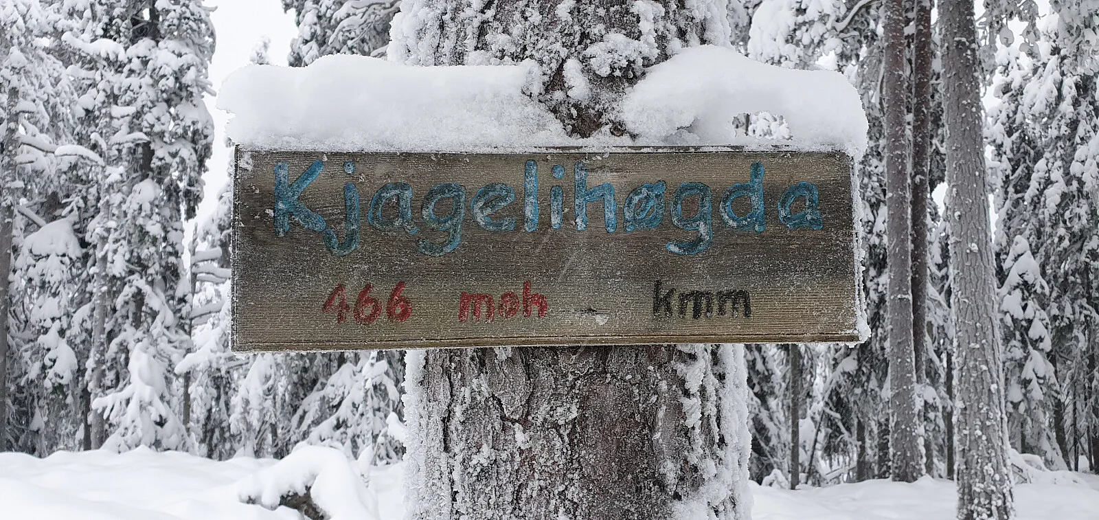Kjagelihøgda (466 moh)
