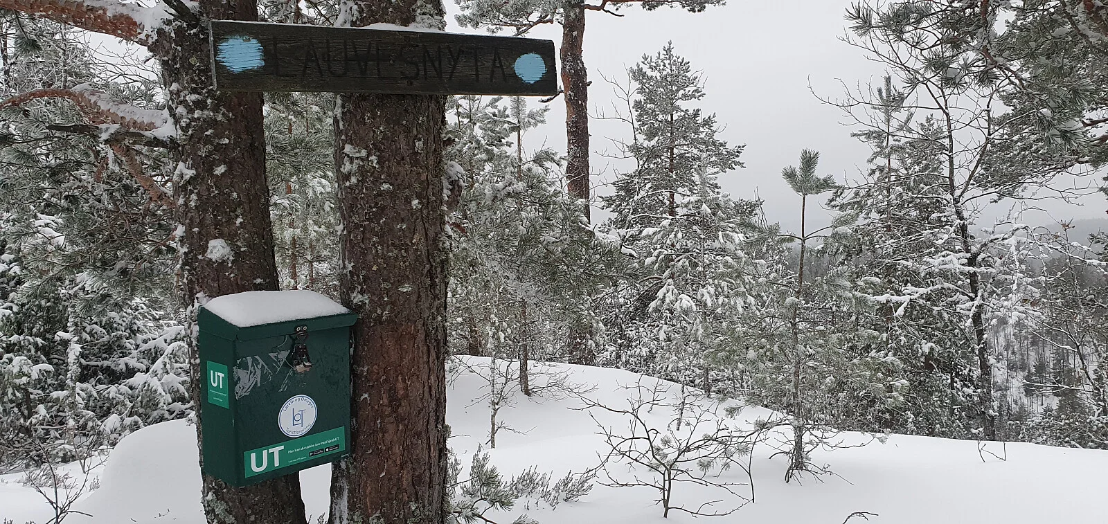 Lauvesnyta (227 moh)