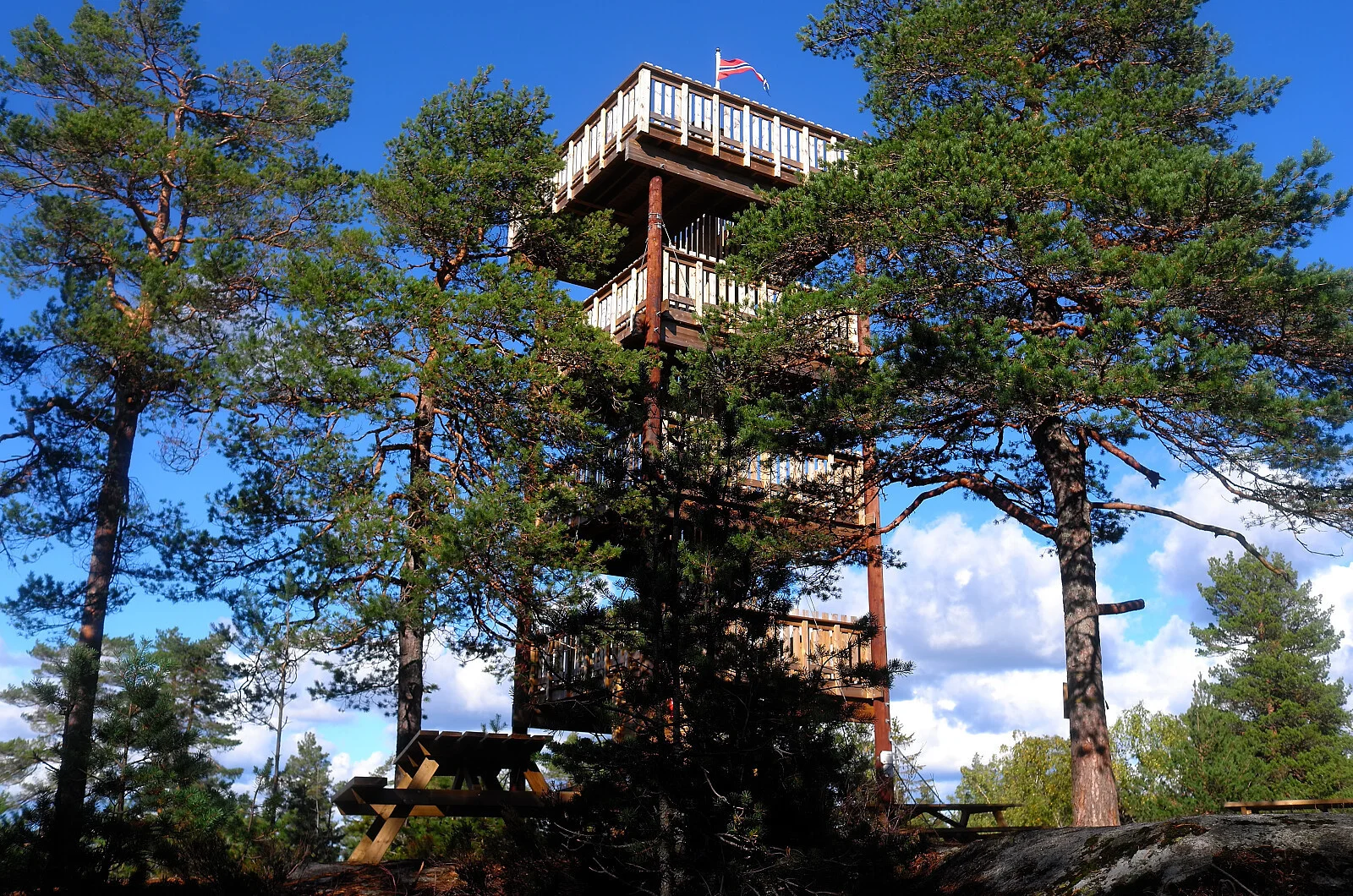 Hjellsåsen (237 moh)