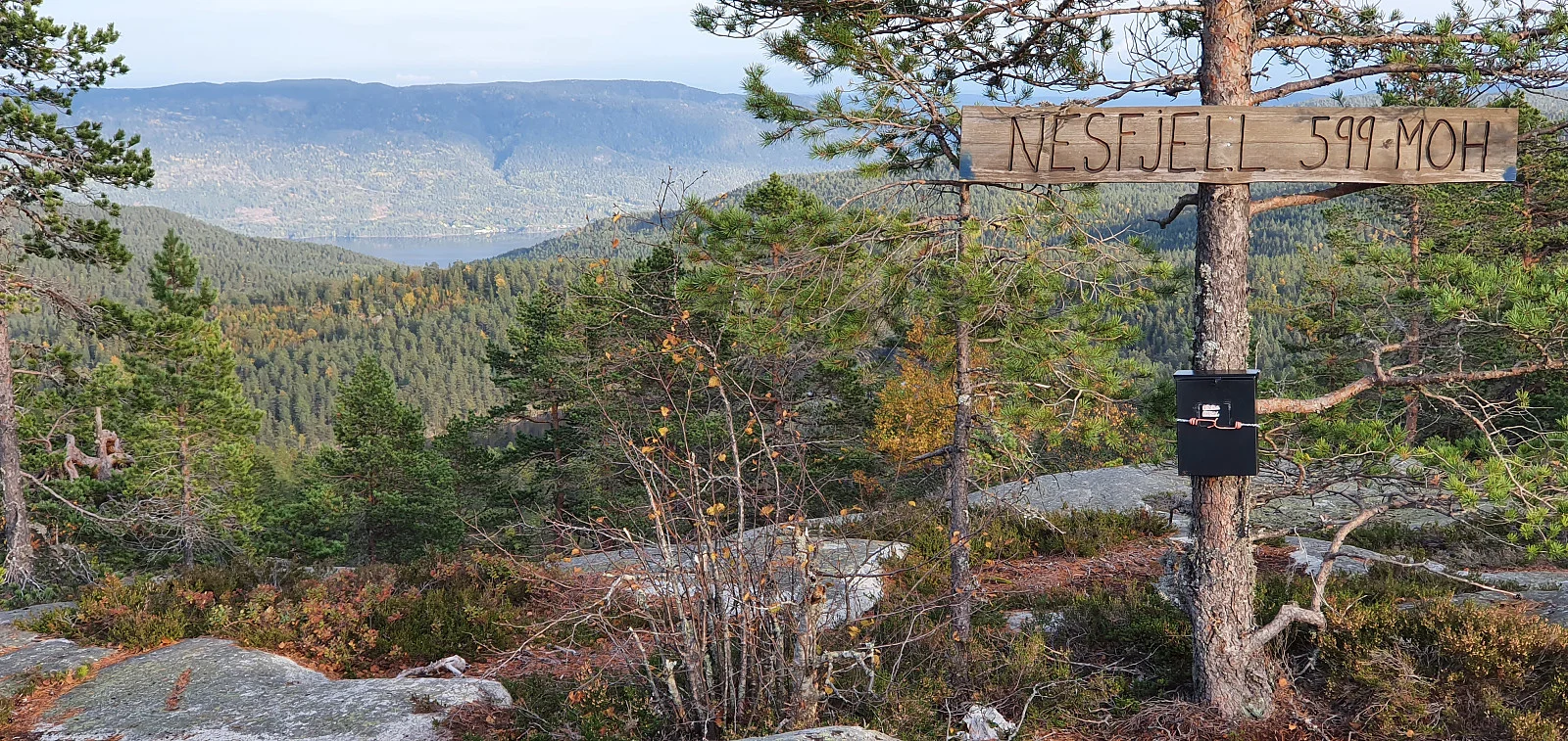 Nesfjell (599 moh)